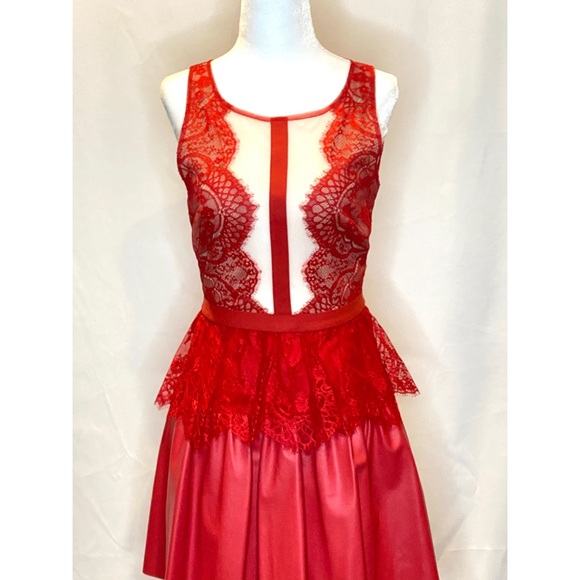 BCBG Dark Poppy Layton Lace and Faux Leather Dress - Picture 2 of 6